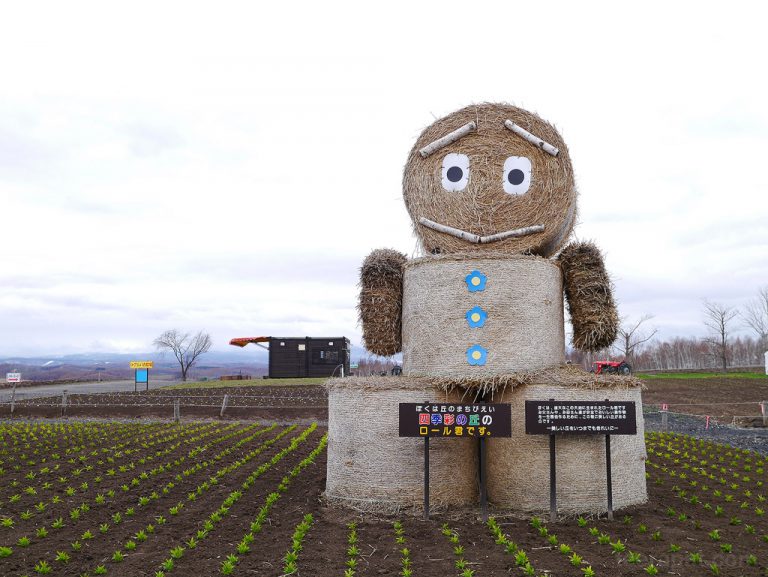 สวนดอกไม้ Shikisai no oka – Hokkaido ตอนที่ 5.1