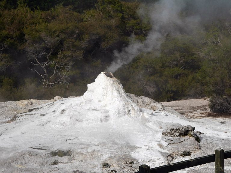 Lady Knox Geyser, Rotorua – New Zealand 2014 ตอนที่ 3.1