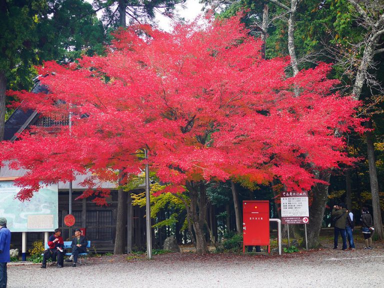 ดูใบไม้เปลี่ยนสีที่วัด Shakudoji – Japan Nov14 ตอนที่ 1.2