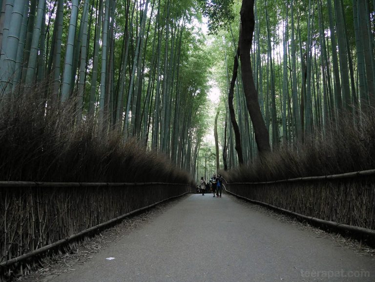 วัด Tenryuji และป่าไผ่ – Japan Nov14 ตอนที่ 2.3