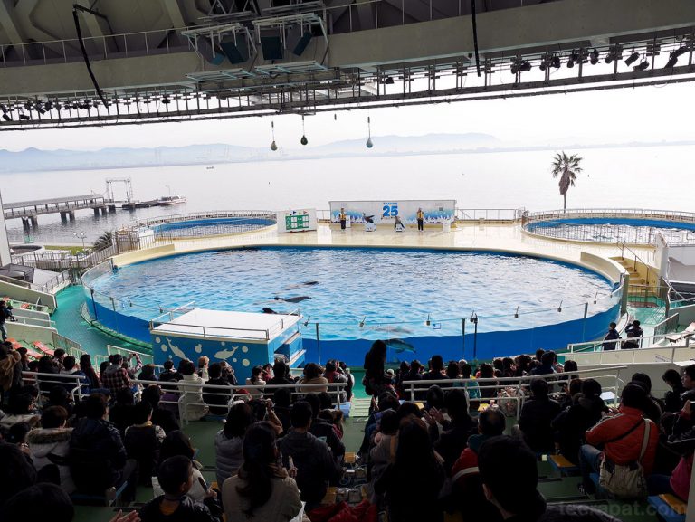 Marine World Fukuoka – Kyushu 2014 ตอนที่ 3.1