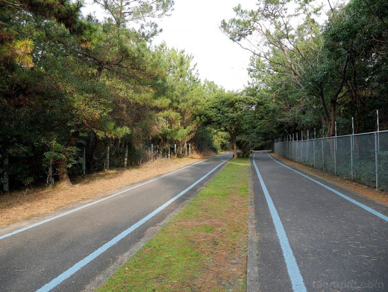 Uminonakamichi Seaside Park, Fukuoka – Kyushu 2014 ตอนที่ 3.2