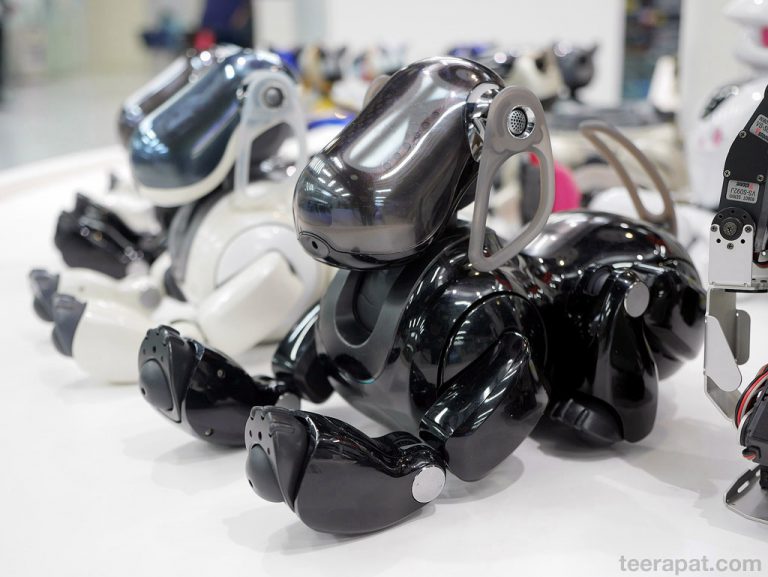 Robosquare เมือง Fukuoka – Kyushu 2014 ตอนที่ 12.1