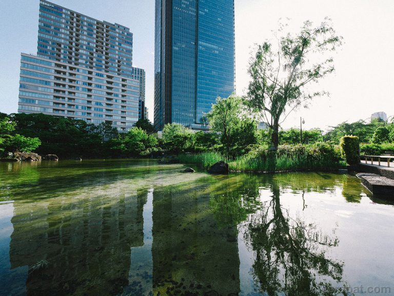 Hinokicho Park สวนหลัง Tokyo Midtown