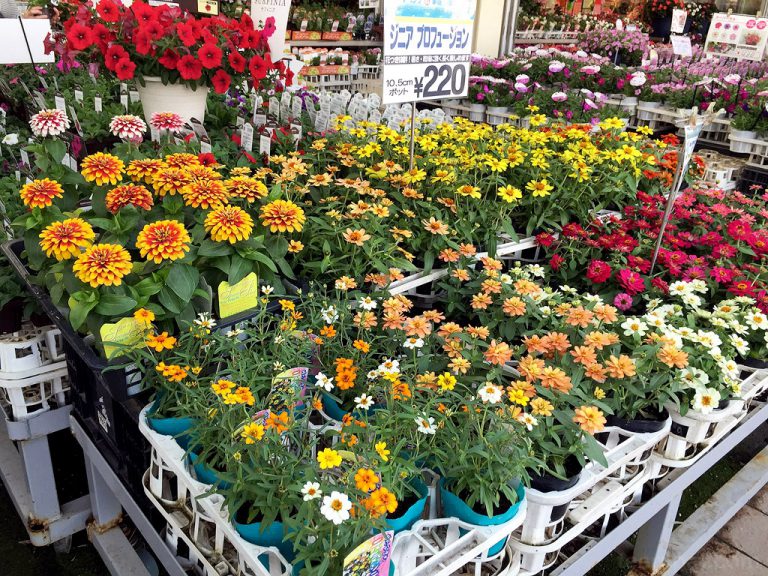 Garden Center Yokohama